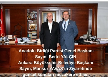 Anadolu Birliği Partisi