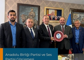 Anadolu Birliği Partisi